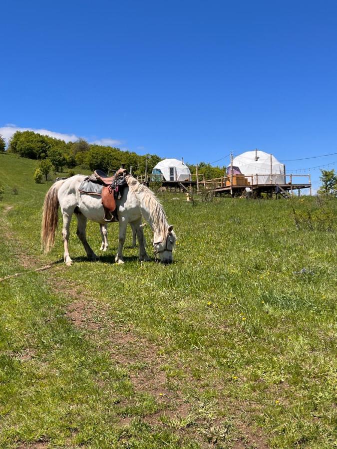 ホテル Glamping Park Shahumyan エクステリア 写真