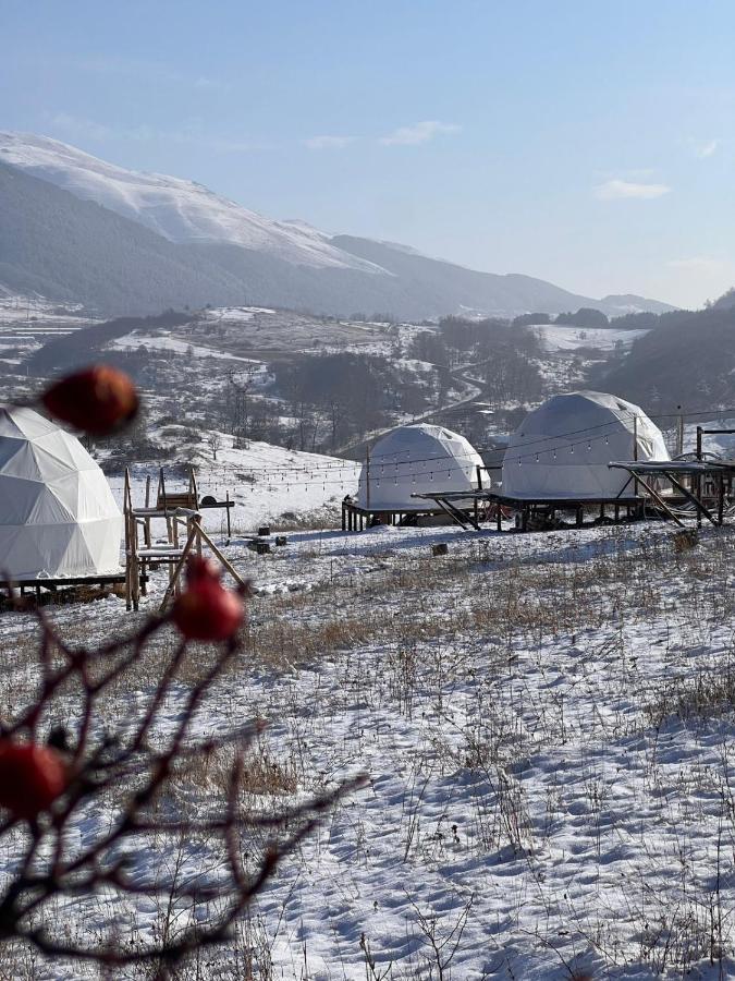 ホテル Glamping Park Shahumyan エクステリア 写真